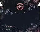 Back-1.webp