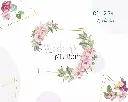 Front.webp